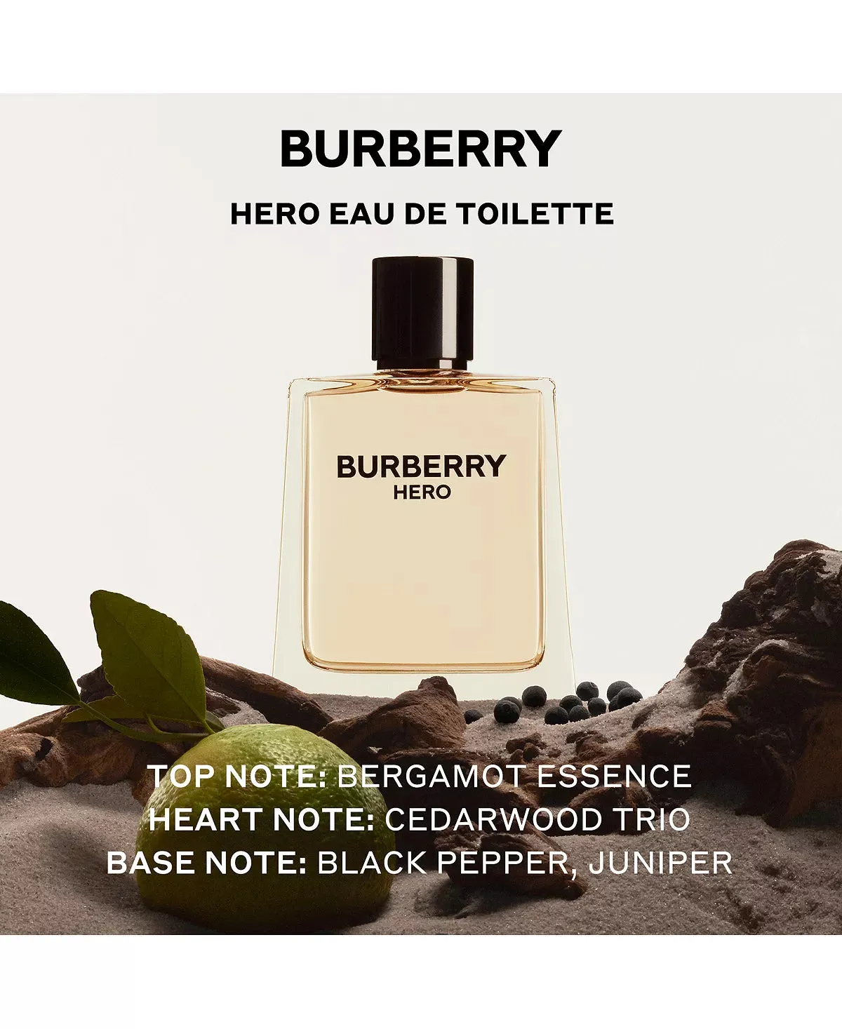 Burberry Hero Eau De Toilette 100 ml 3.3 oz