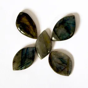 Butterfly or Flower - Freeform Labradorite