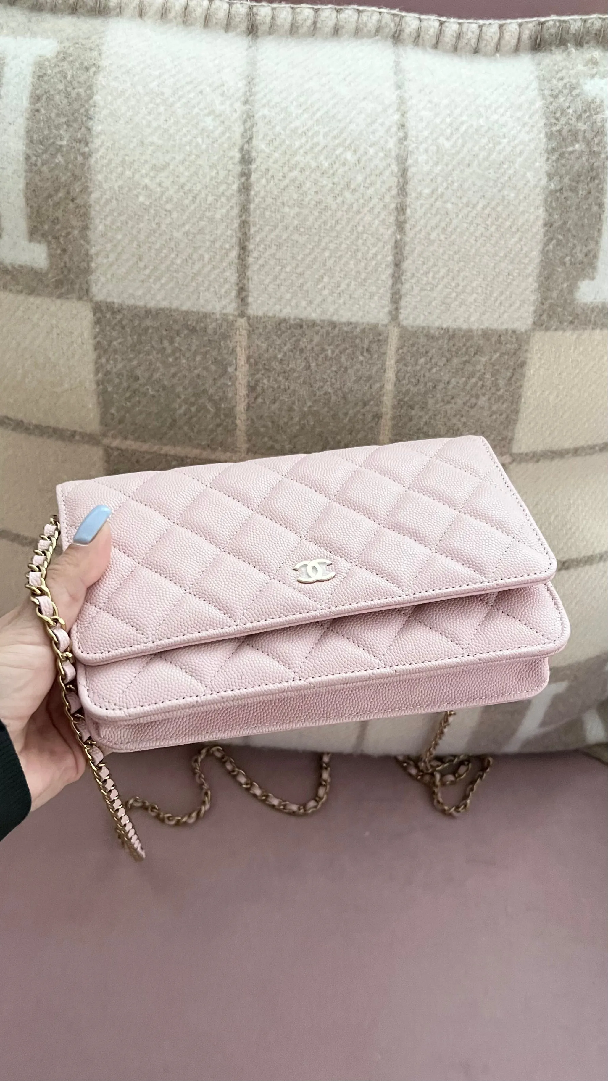 Chanel Wallet On Chain Bag