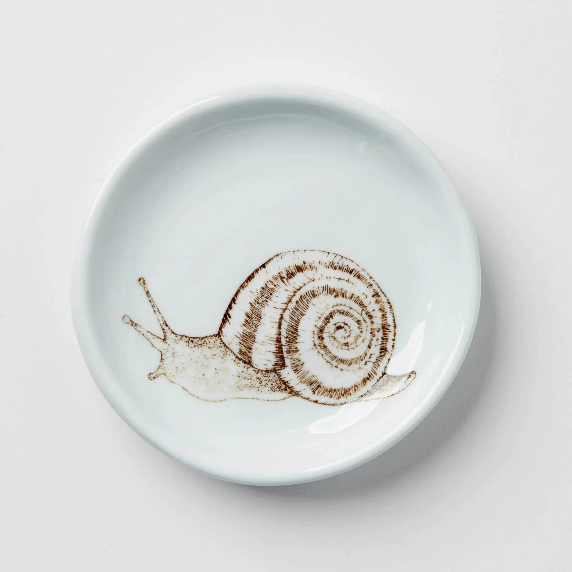 Everything Dish in Celadon (Multiple Illustrations) by SKT Ceramics