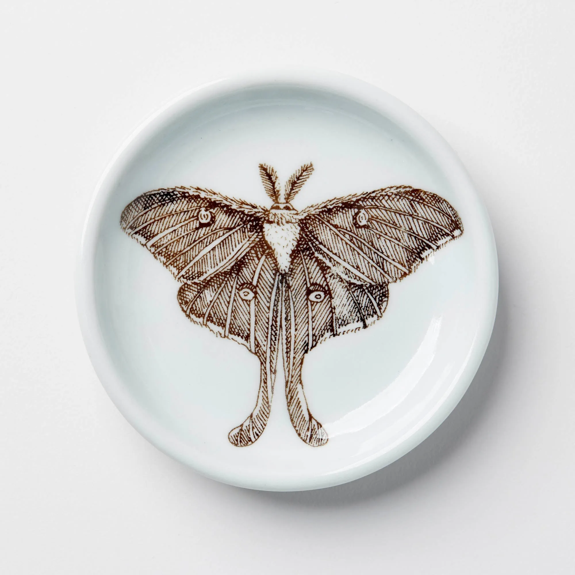 Everything Dish in Celadon (Multiple Illustrations) by SKT Ceramics