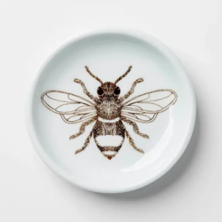 Everything Dish in Celadon (Multiple Illustrations) by SKT Ceramics