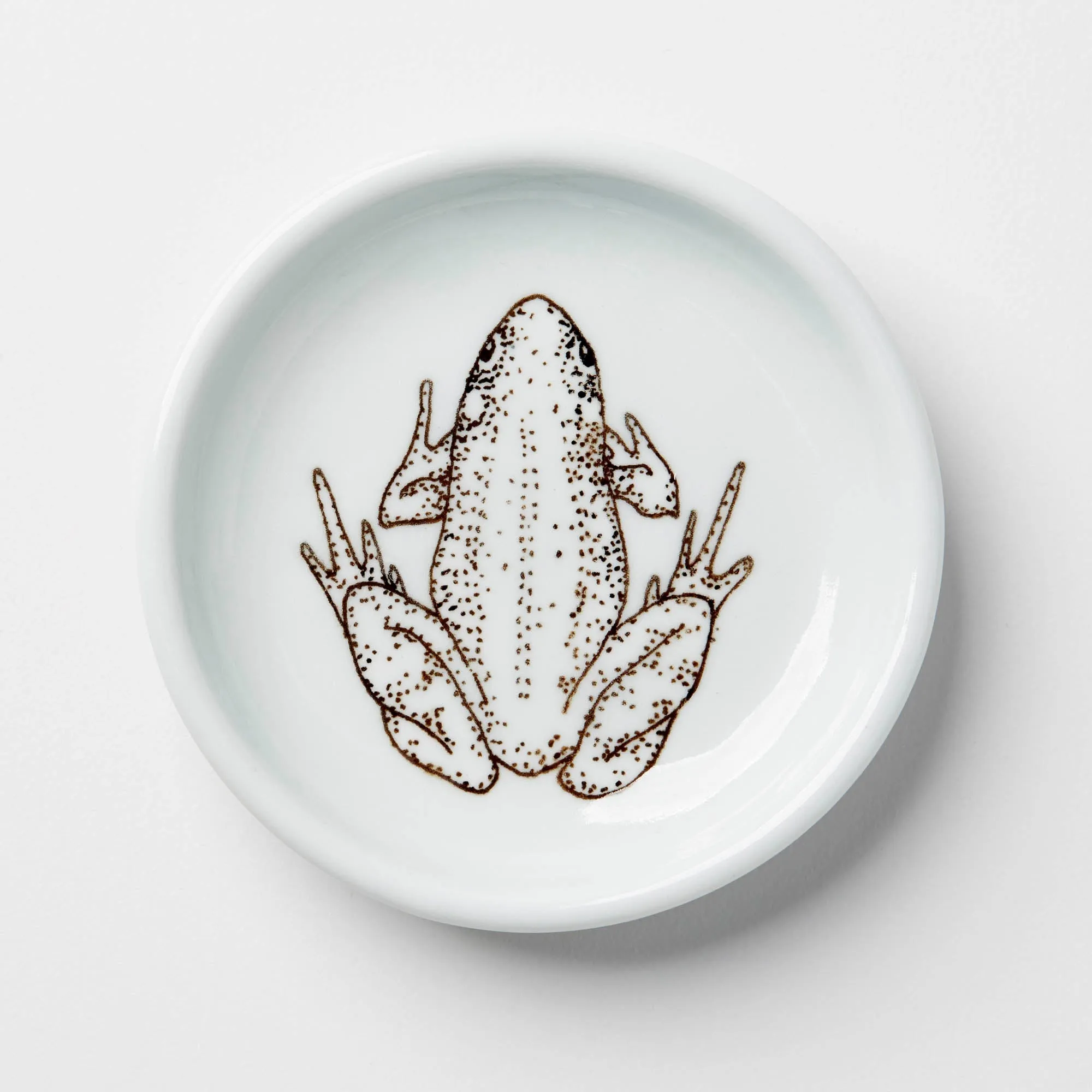 Everything Dish in Celadon (Multiple Illustrations) by SKT Ceramics