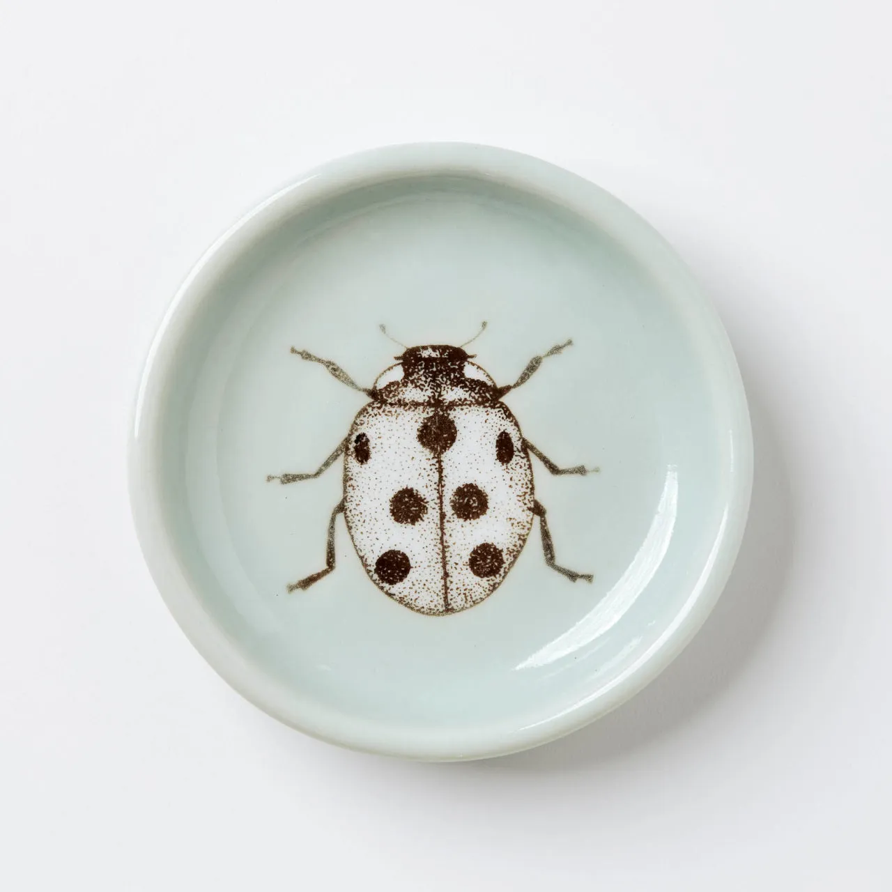 Everything Dish in Celadon (Multiple Illustrations) by SKT Ceramics