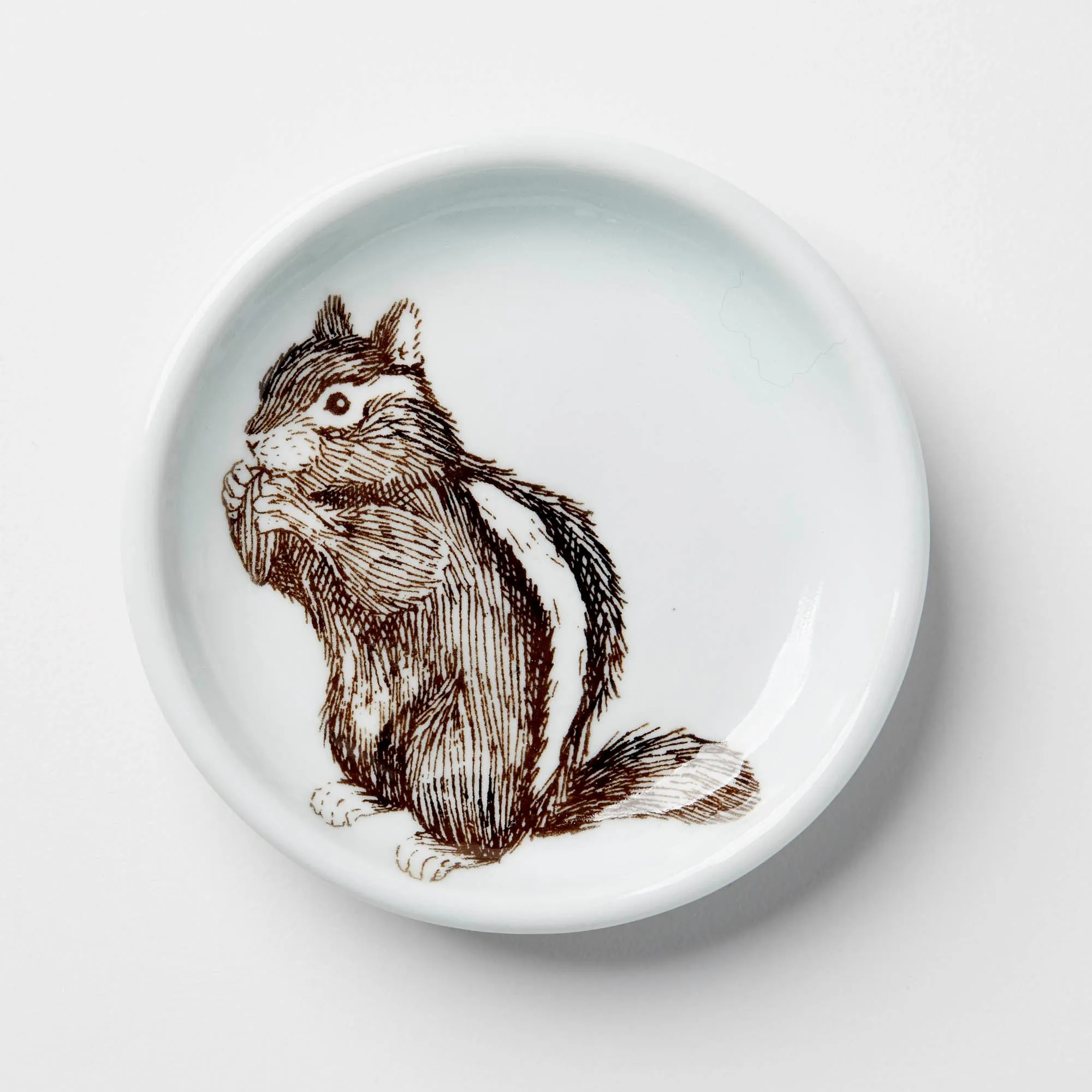 Everything Dish in Celadon (Multiple Illustrations) by SKT Ceramics