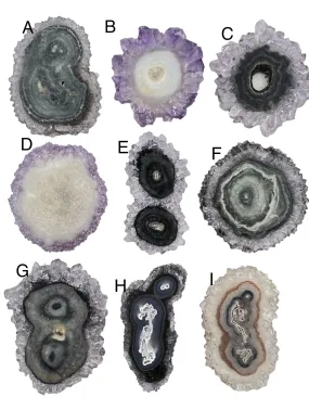 Natural Amethyst Stalactite Slices BIG 45-60mm (Select One Stone)