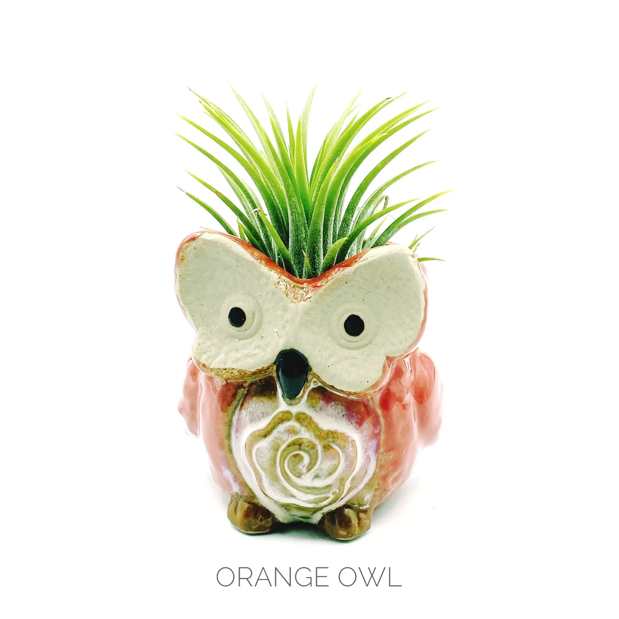 Owl Planter   Air Plant