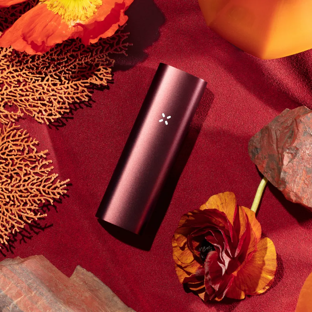 Pax 3 Basic Kit