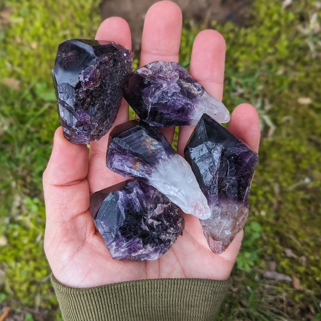 RARE FIND Deep Smoky Black Elestial Amethyst Root Crystals from Uruguay ~ Dragon Tooth Amethyst Points