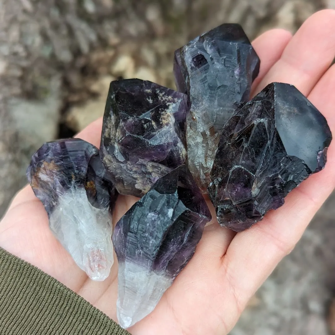 RARE FIND Deep Smoky Black Elestial Amethyst Root Crystals from Uruguay ~ Dragon Tooth Amethyst Points