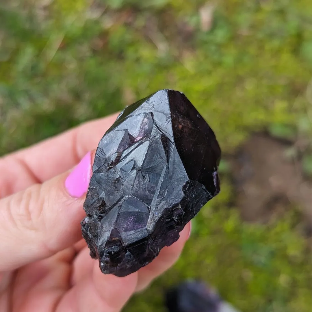 RARE FIND Deep Smoky Black Elestial Amethyst Root Crystals from Uruguay ~ Dragon Tooth Amethyst Points