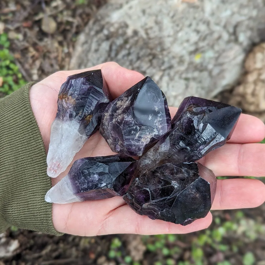 RARE FIND Deep Smoky Black Elestial Amethyst Root Crystals from Uruguay ~ Dragon Tooth Amethyst Points