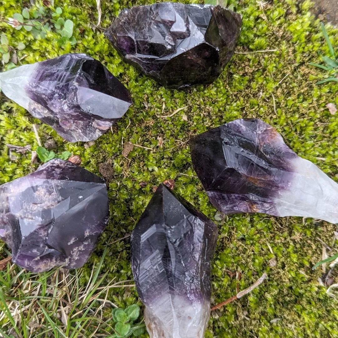 RARE FIND Deep Smoky Black Elestial Amethyst Root Crystals from Uruguay ~ Dragon Tooth Amethyst Points