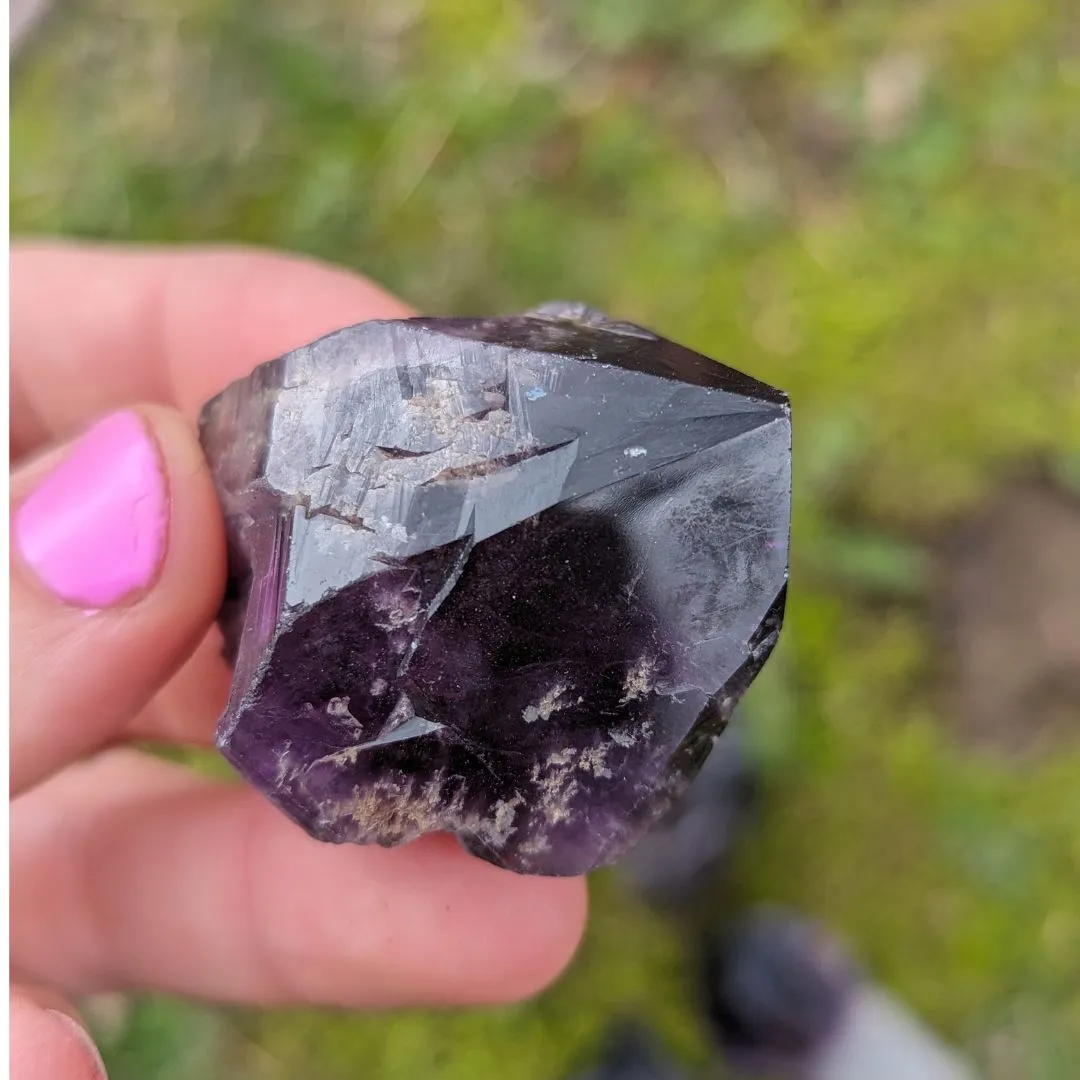 RARE FIND Deep Smoky Black Elestial Amethyst Root Crystals from Uruguay ~ Dragon Tooth Amethyst Points