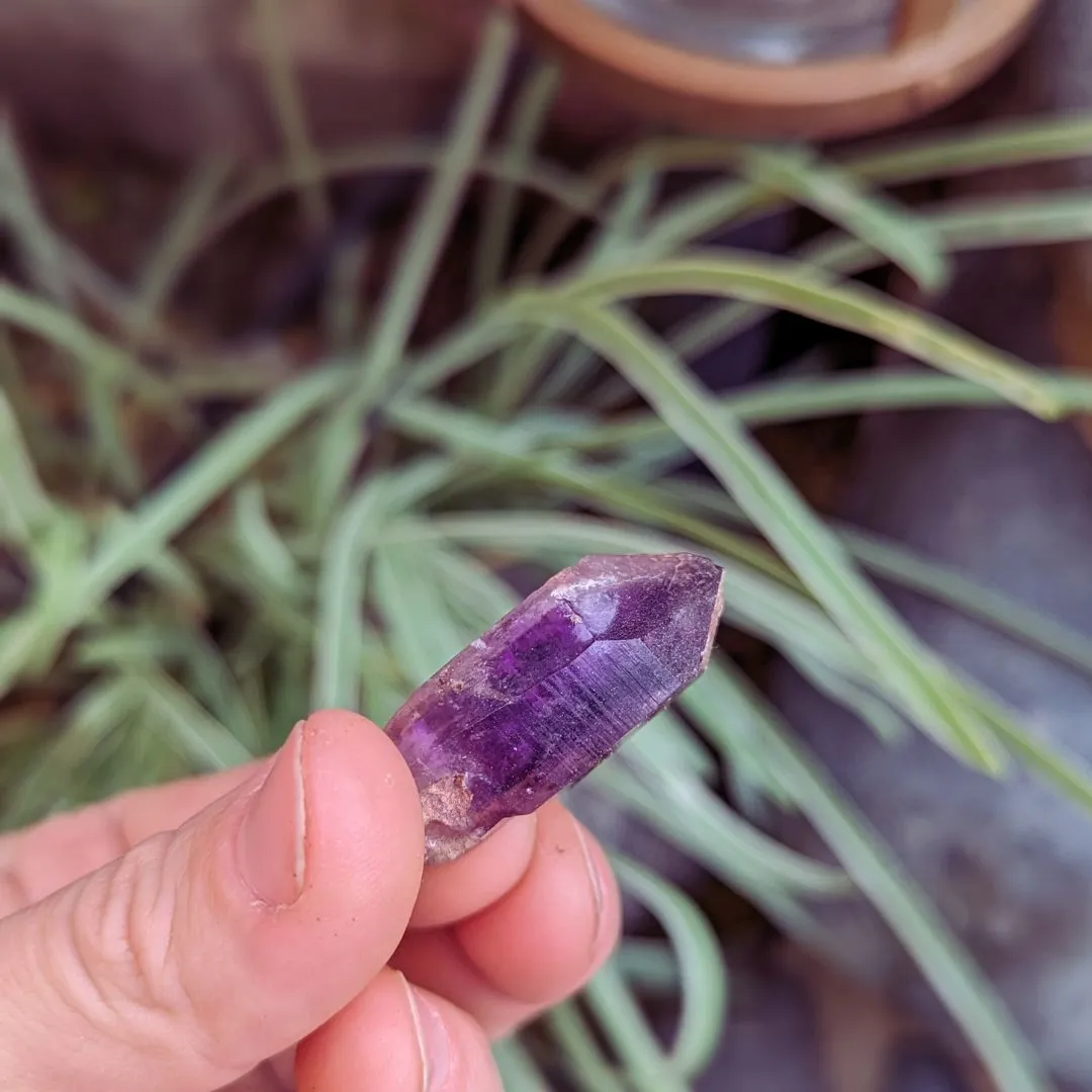 Tucson Exclusive! Rare Find, Natural  Brandberg Amethyst Crystal Points ~ Cosmic Energy that Awakens, Clear Quartz, Amethyst and Smokey Quartz in ONE, Ancient Amethyst