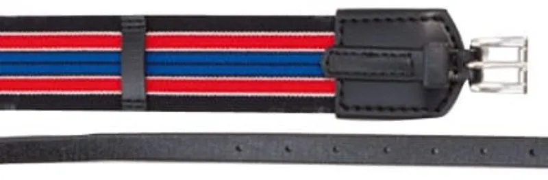 Zilco Elastic Surcingle 50mm Red/Blue